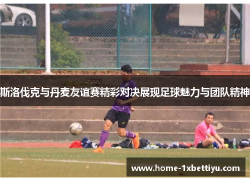 斯洛伐克与丹麦友谊赛精彩对决展现足球魅力与团队精神 斯洛伐克与丹麦友谊赛精彩对决展现足球魅力与团队精神